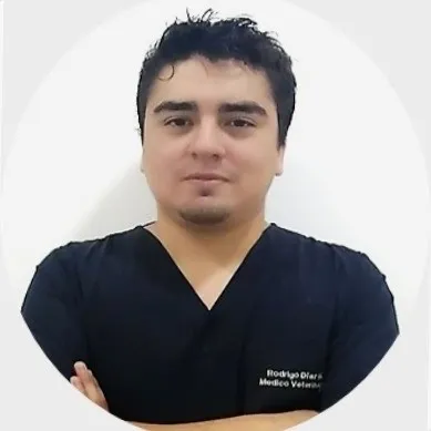 Permiso por duelo de mascotas: Un avance significativo