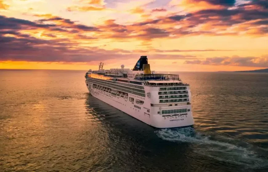 Mujer olvidada crucero: tragedia en Lizard Island