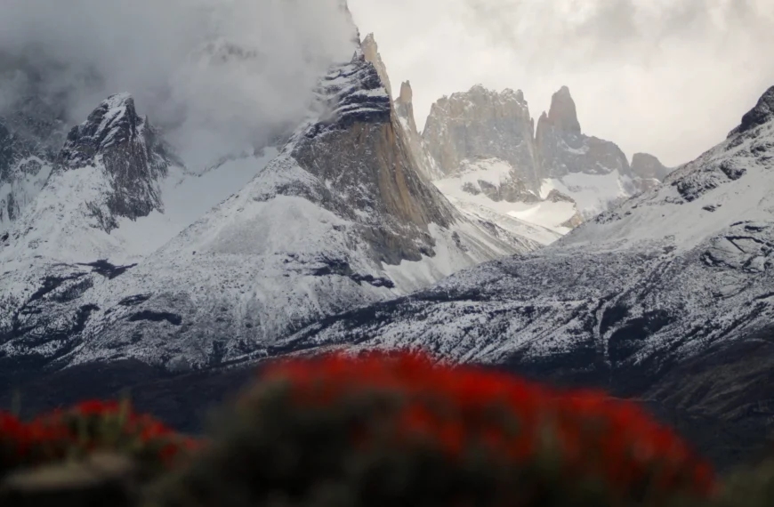 Accidente Torres del Paine: Investigación y Seguridad