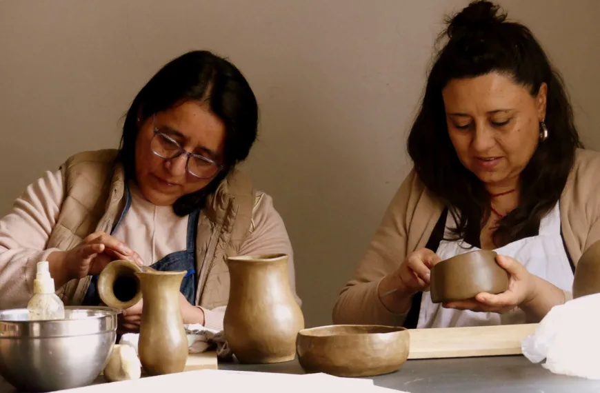 Wizün Mapuche: Un Taller para la Identidad Territorial