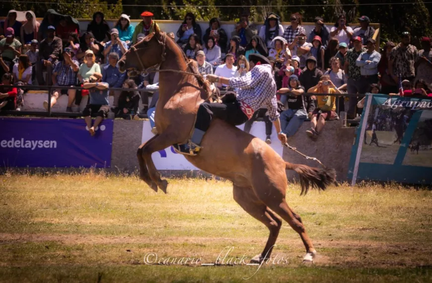 Festival Internacional de Jineteadas: Una Fiesta Cultural en la Patagonia