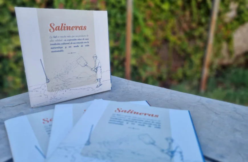 Salinas de O’Higgins: Un viaje a la rica tradición salinera