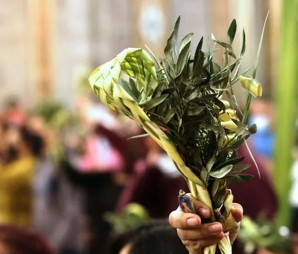 Domingo de Ramos: La Celebración que Une Fe y Tradición en Chile