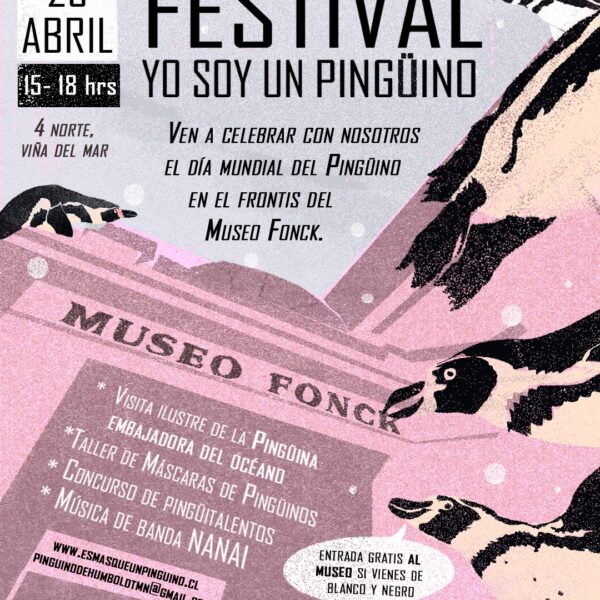 Día Mundial del Pingüino: Un Festival para Celebrar la Conservación
