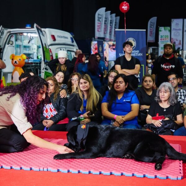 Expo Mascotas: Innovaciones que Transforman el Cuidado Animal