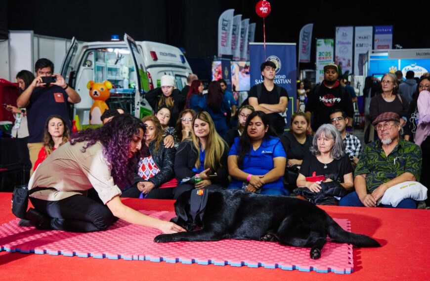 Expo Mascotas: Innovaciones que Transforman el Cuidado Animal
