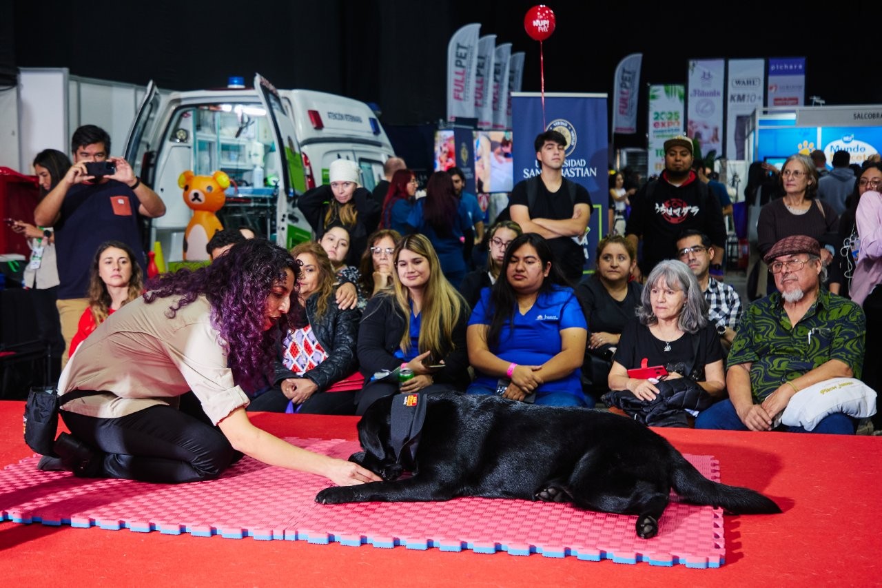 Expo Mascotas: Innovaciones que Transforman el Cuidado Animal