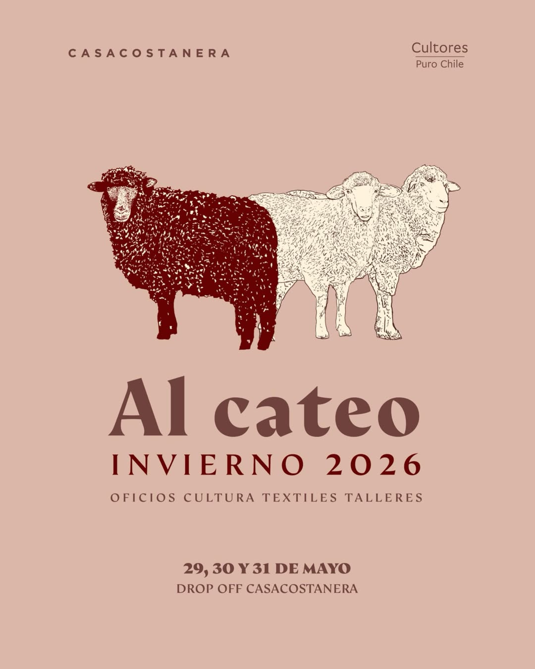 Feria Al Cateo: Celebrando la Tradición Textil y el Patrimonio Cultural