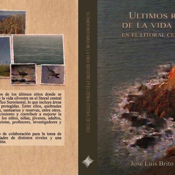Refugios de la vida silvestre Chile: Descubre áreas clave para la conservación