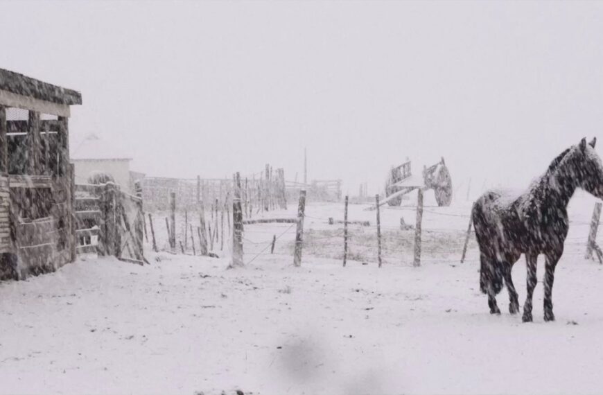 Al sur del invierno está la nieve: Un viaje poético en Patagonia