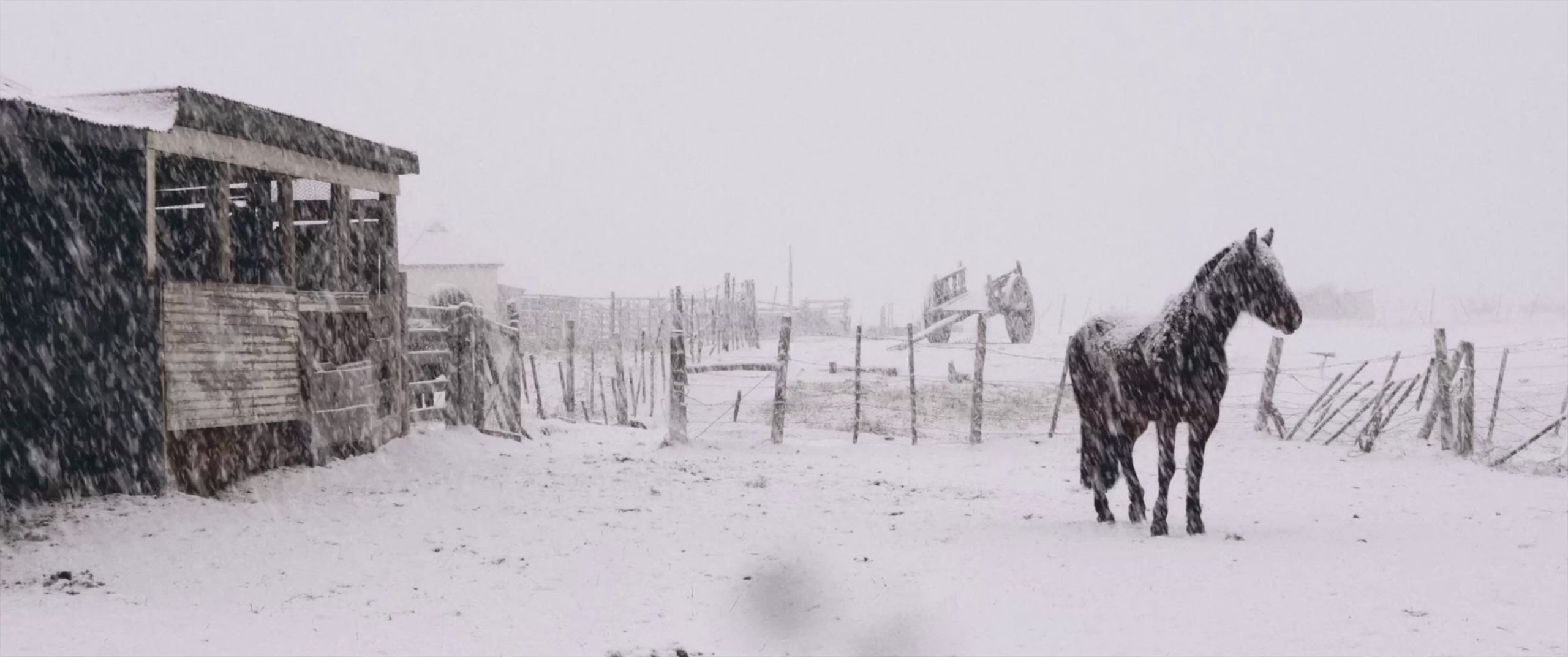 Al sur del invierno está la nieve: Un viaje poético en Patagonia