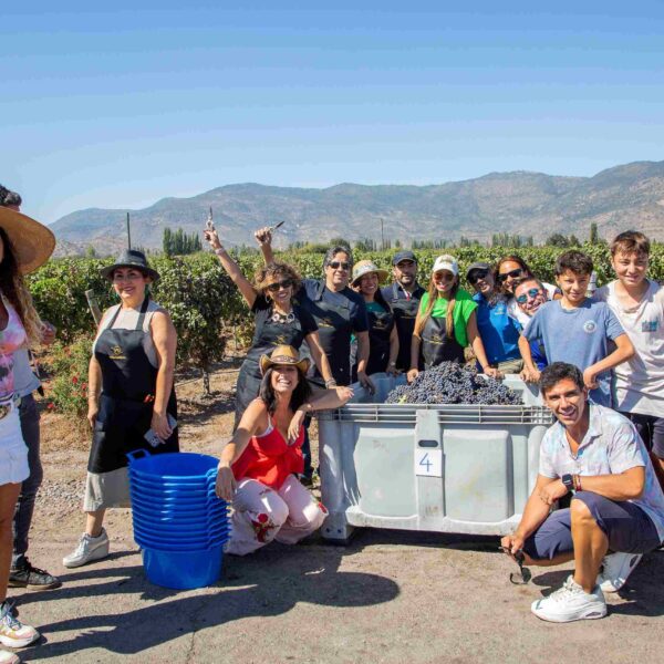 Turismo Enológico: Redescubriendo el Bienestar a Través del Vino