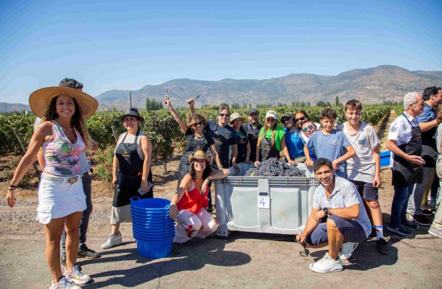 Turismo Enológico: Redescubriendo el Bienestar a Través del Vino