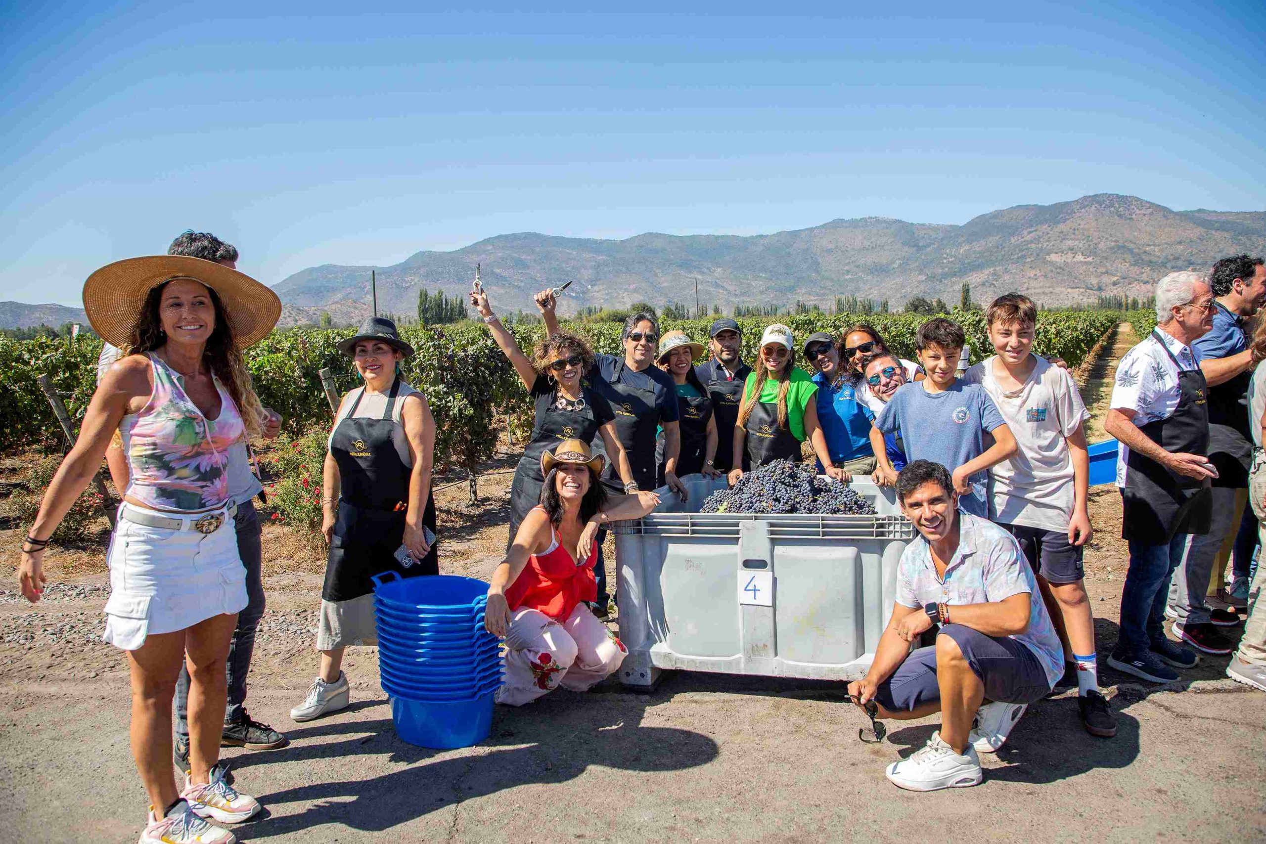 Turismo Enológico: Redescubriendo el Bienestar a Través del Vino
