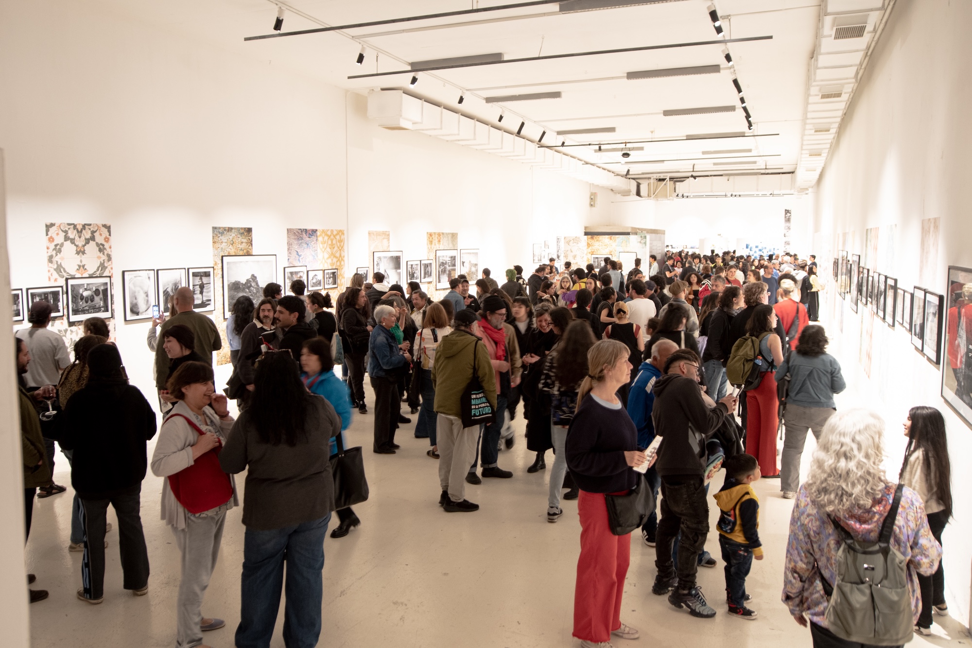Valparaíso: Explorando el Encuentro Artístico en el FIFV 2023