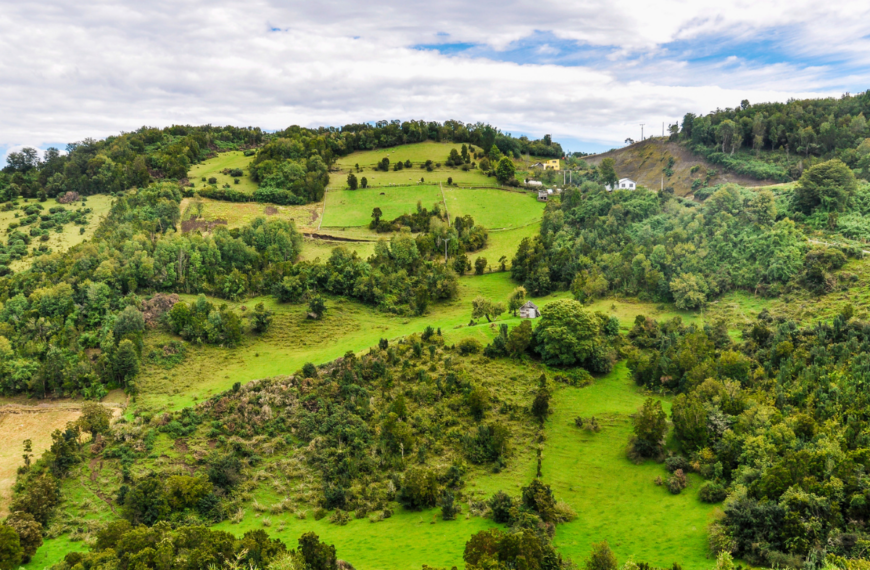 Seis comunas, una obra: el mapa humano de Tineo-Nueva Ancud